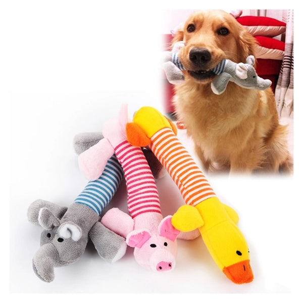 Funny Dog Squeaky Chew Toy