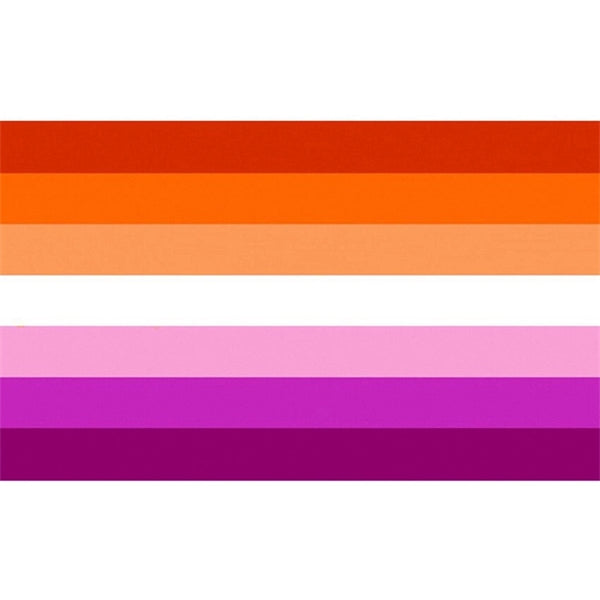 Rainbow Pride Flag Banner LGBT Gay Lesbian Love Equal