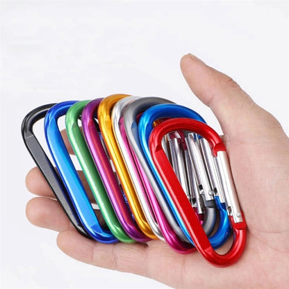 Carabiner Key Chain