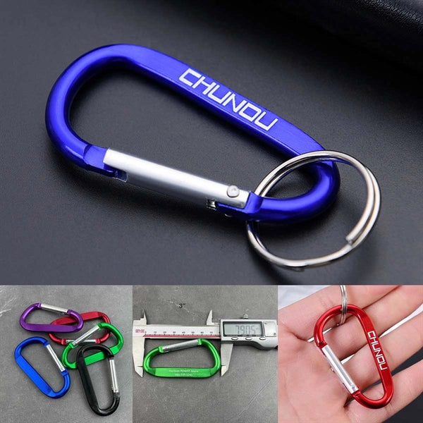 Carabiner Key Chain