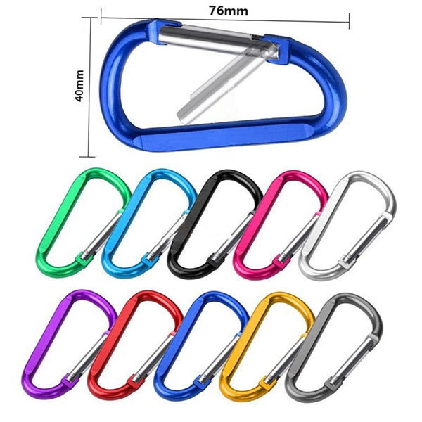Carabiner Key Chain