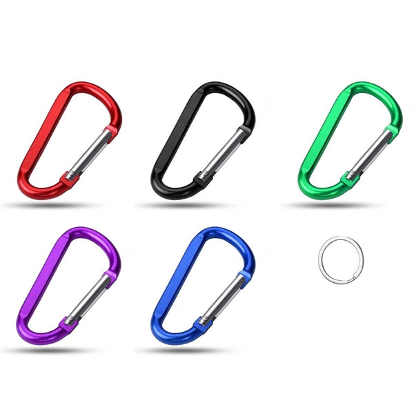 Carabiner Key Chain