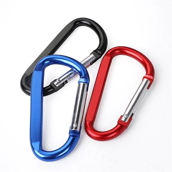 Carabiner Key Chain