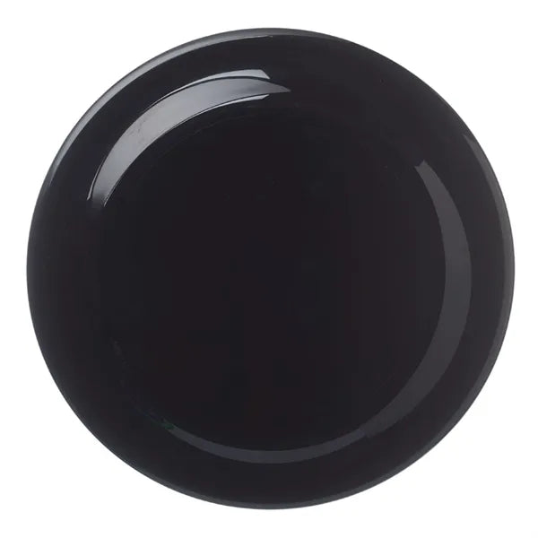 9.25" Plastic Flying Disc