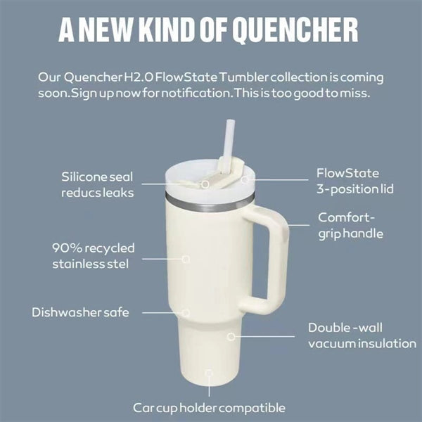 Tumbler With Handle And Straw