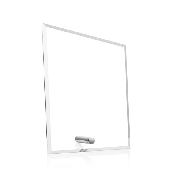 Polaris Peak Award - Silver
