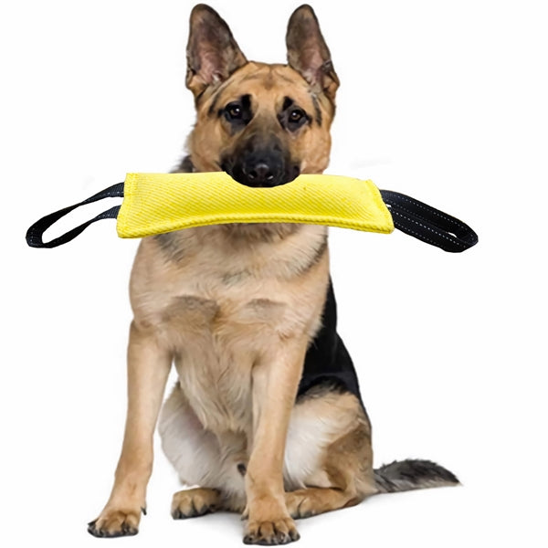 Dog Bite Tug Toy