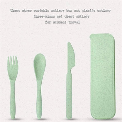 Travel Utensil Set with Case