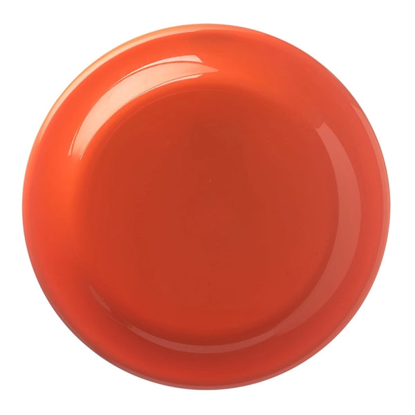 9.25" Plastic Flying Disc