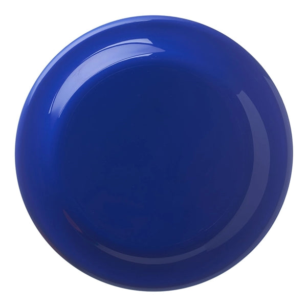9.25" Plastic Flying Disc