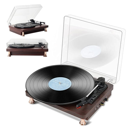 Vinyl Record Player