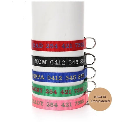 Dog Collar