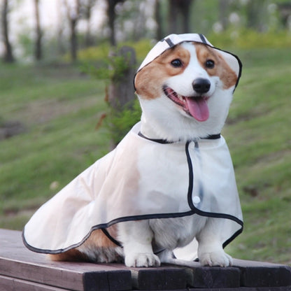Clear raincoat waterproof dog