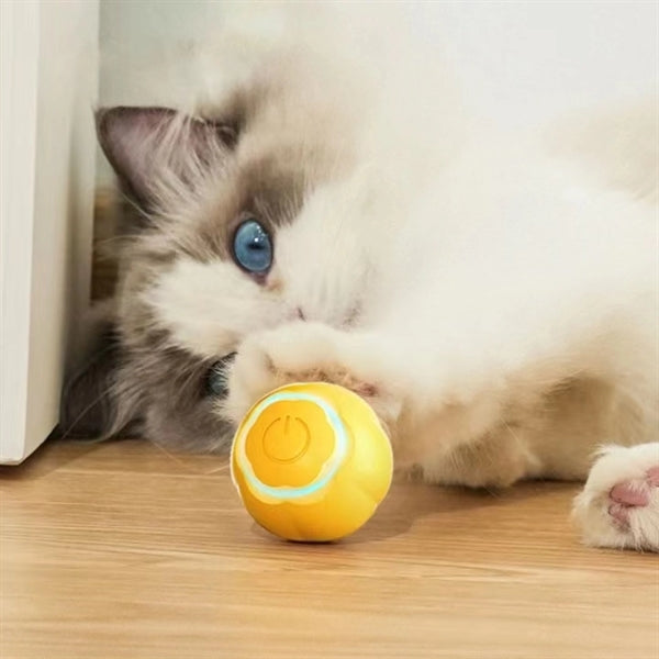 Intelligent Rolling Ball