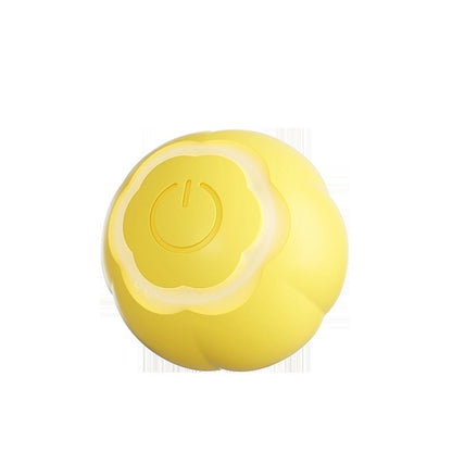Intelligent Rolling Ball