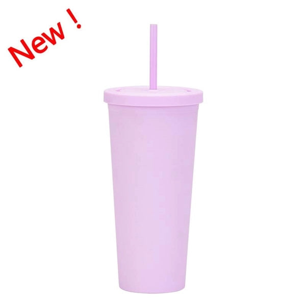 24oz Double Wall Plastic Tumbler with Lid and Straw