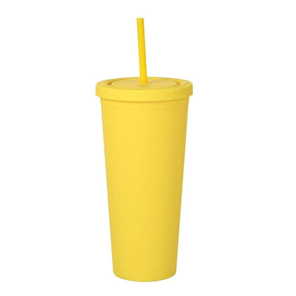 24oz Double Wall Plastic Tumbler with Lid and Straw