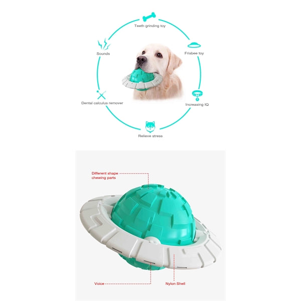 Dog Chew Toy