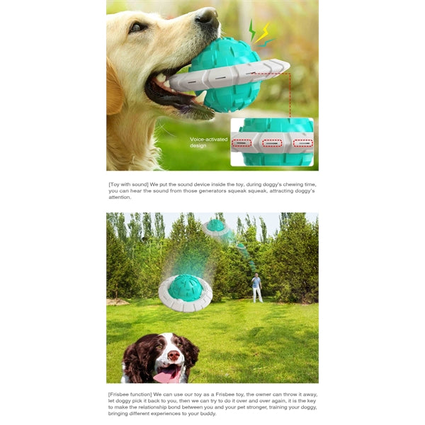 Dog Chew Toy