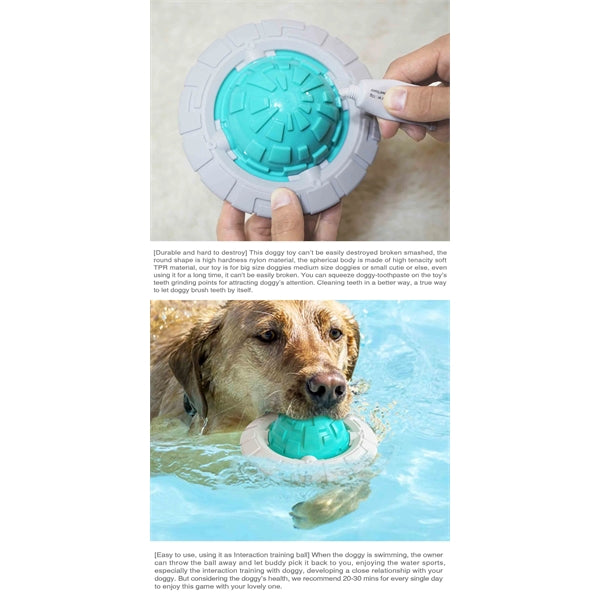 Dog Chew Toy