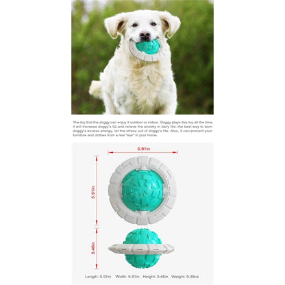 Dog Chew Toy