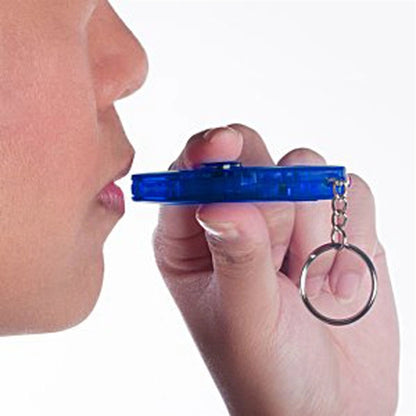 Whistle Key Light