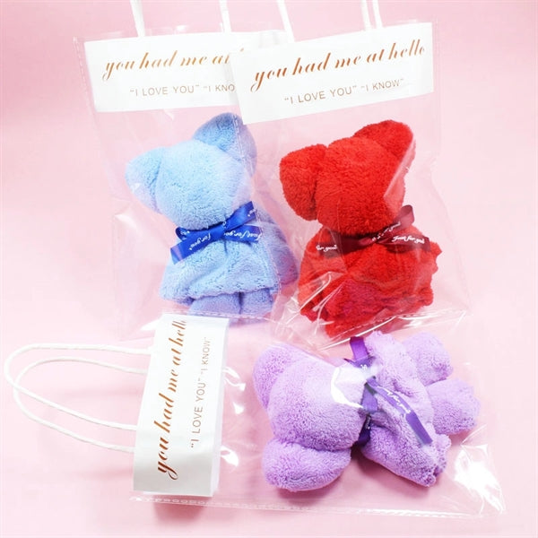 Bear Towel with Gift Bag