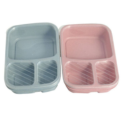 Eco-friendly Lunch Bento Box