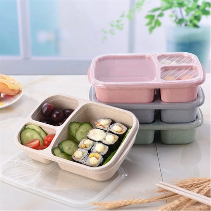 Eco-friendly Lunch Bento Box