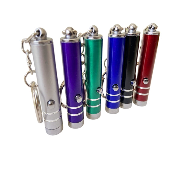 Mini UV Light Flashlight Banknote Checking Keychain