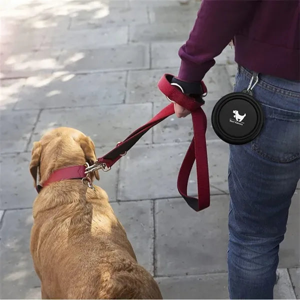Portable Collapsible Pet Dog Feeding Bowls