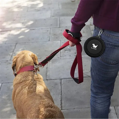 Portable Collapsible Pet Dog Feeding Bowls