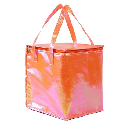 Insulated Shopping 10 inch Thermal Delivery Bag