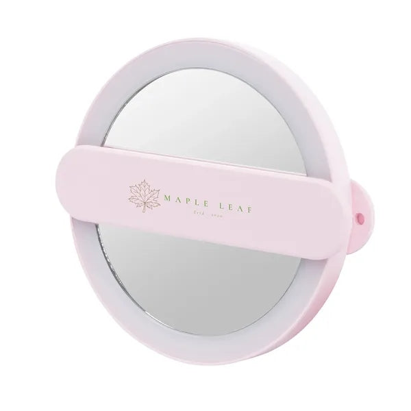 LED Mirror With Swivel Handle