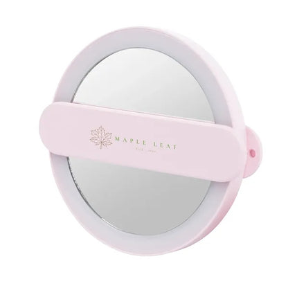 LED Mirror With Swivel Handle