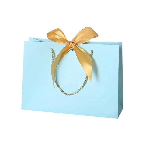 Paper Shopping Bag with Ribbon Bow