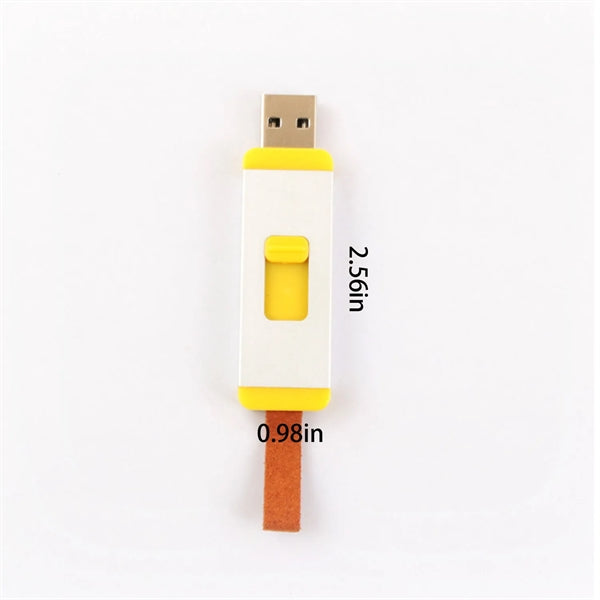 128Gb Push-Pull Usb