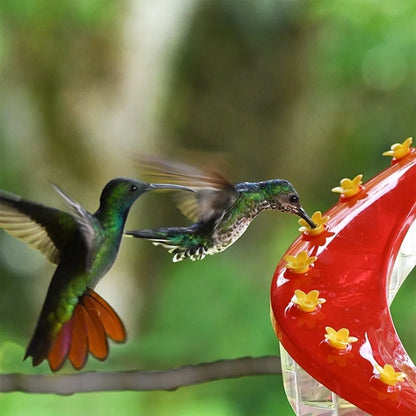 Helical Hummingbird Feeder