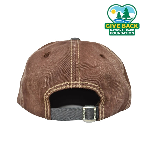 ACE Triple-Tone Colorblocked Cap