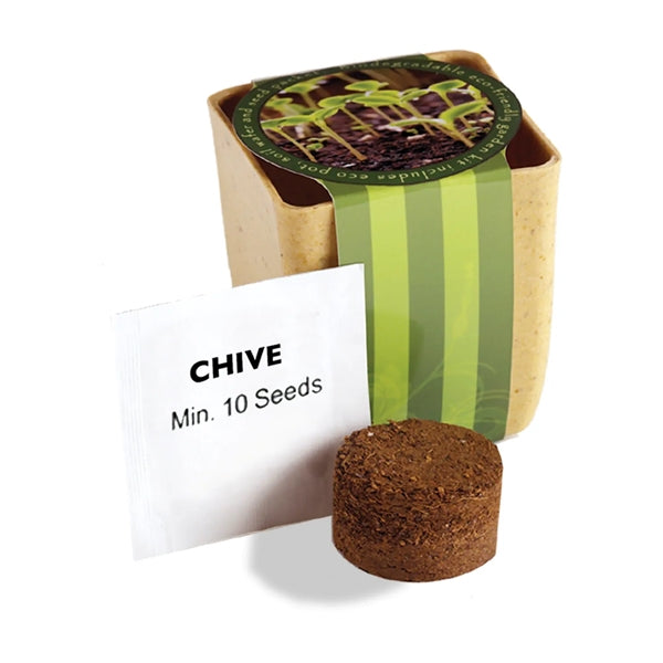 Flower Pot Set With Chive Seeds