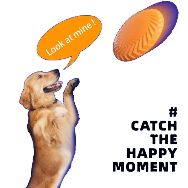 Dog Spiral Flying Disc Throwing Toy