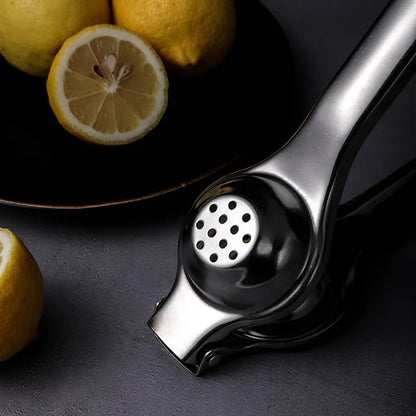 Stainless Steel Manual Juicer