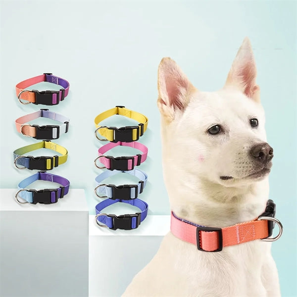 Adjustable Dog Collar