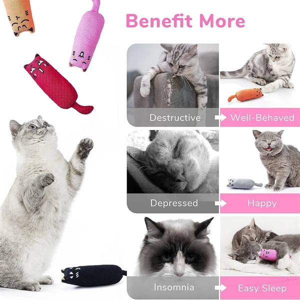 Catnip Cat Chew Toy