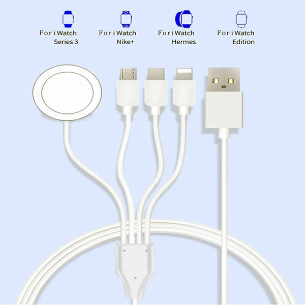 4 in 1 Portable Smart Charging Cable