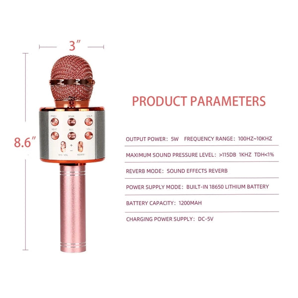 WS858 Professional Wireless Microphone Speaker Karaoke