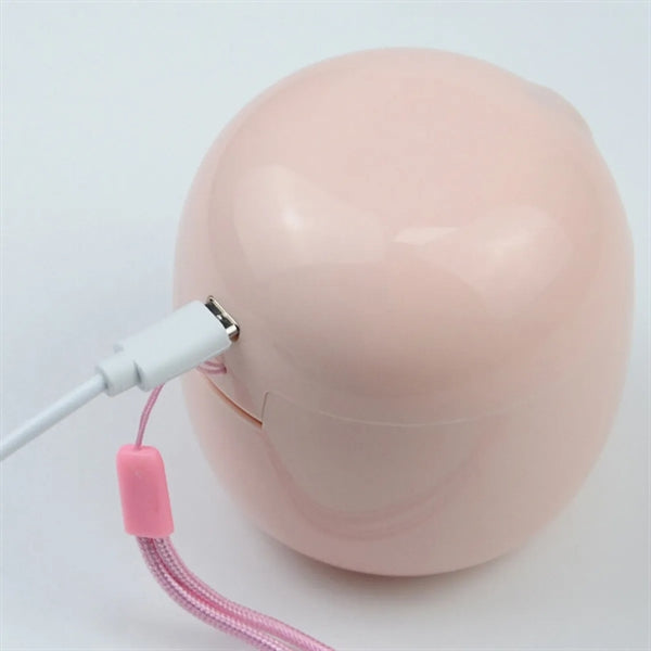 Uv Sterilization Baby Pacifier Sterilizer