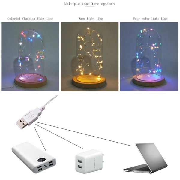Christmas Tree in Glass Dome, Warm Led String Lights,
