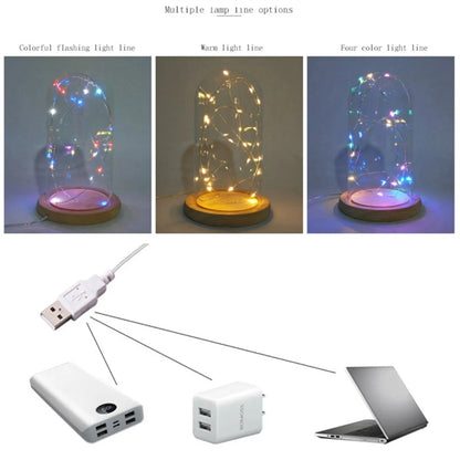 Christmas Tree in Glass Dome, Warm Led String Lights,