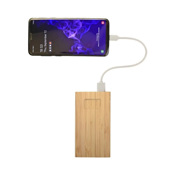 Bamboo Power Bank